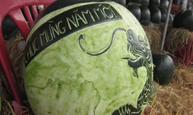 Dưa hấu khắc hình thần tài giá nửa triệu đồng