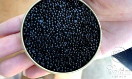 Trứng cá tầm Việt Nam xuất ngược sang Nga