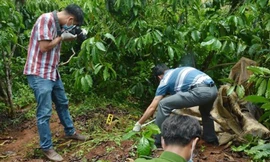Sợi tóc trên chiếc lá hé lộ 3 bà cháu ở Lâm Đồng bị sát hại