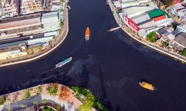 Dòng sông ở miền Tây chuyển màu đen kịt