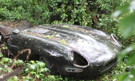 Xe sang bị 'bỏ quên' trong rừng 30 năm được định giá bạc tỷ 