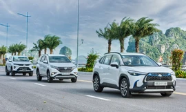 Dàn SUV Toyota 'bung sức' trong hành trình Hà Nội - Quảng Ninh