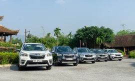 Subaru chốt cách xử lý cho Forester bị nổi 'cá vàng'