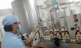 Dây chuyền sản xuất nước màu mật ong Viethoney tại công ty.