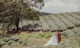 Nhiếp ảnh gia 'xấu trai' cưa đổ vợ đẹp với lời hứa tặng 10.000 ảnh để đời