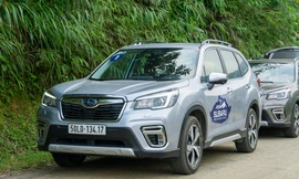 Xe Subaru nổi 'cá vàng', hãng trả lời ra sao?