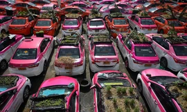 Ế khách mùa dịch, hãng taxi Thái Lan trồng rau trên ô tô