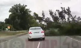 Tài xế đánh lái cực nhanh tránh cây đổ xuống đường