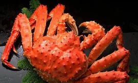 Choáng với độ chơi sang của nhà giàu Việt, chi chỉ vàng ăn con cua lạ