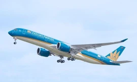 Máy bay của hãng hàng không Vietnam Airlines. (Ảnh: Vietnam+)
