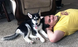 Sợ nuôi con tốn kém, các cặp vợ chồng Mỹ chăm bẵm thú cưng như con đẻ