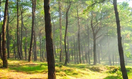 8 điểm đến gần Hà Nội và dễ đi trong dịp 30/4