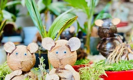 Dừa bonsai hình chuột đắt khách