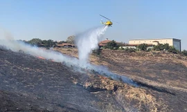 500 con dê hợp sức cứu thư viện của cố tổng thống Mỹ