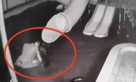 Chồng dìm vợ xuống nước rồi kéo lên bạo hành trước sự chứng kiến của con trai