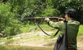 Vô tình lọt vào họng súng bắn chim, một người đàn ông chết oan