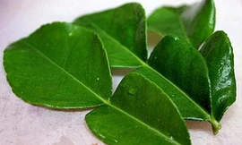 Lá chanh Thái Lan bán ở TPHCM giá đắt không ngờ