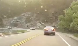 Xe thể thao gặp nạn khi va chạm với báo sư tử trên đường đèo