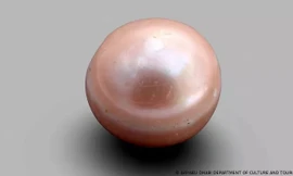 Phát hiện viên ngọc trai 8.000 năm tuổi