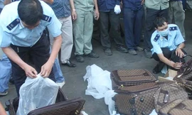 Hàng dỏm, hàng hiệu đổ bộ ...vỉa hè