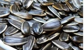 Hạt hướng dương chứa chất gây teo não