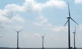 Mùa gặt đầu trên “Cánh đồng điện gió”