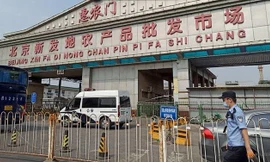 Cổng vào chợ Xinfadi. Ảnh: Reuters