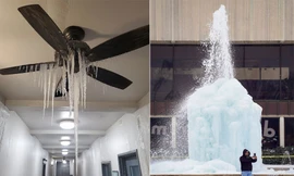 Mỹ: 31 người chết vì giá rét, 3 triệu dân khốn khổ vì không có điện