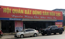 Cò đất qua thời 'ăn dày'