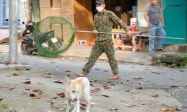 Theo chân đội bắt chó thả rông đầu tiên ở TP.HCM