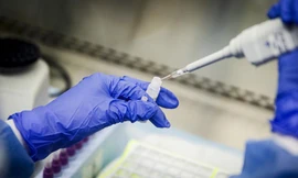 Nhà khoa học Mỹ tạo ra biến thể SARS-CoV-2 mới, tỷ lệ tử vong trên chuột 80%