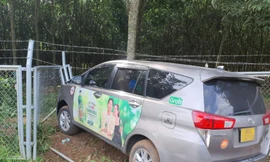 Ô tô 7 chỗ mất lái lao khỏi cao tốc Phan Thiết - Dầu Giây