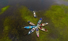 300 di sản triệu năm trong công viên địa chất Lý Sơn - Sa Huỳnh