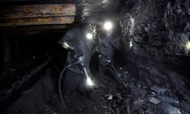 Hơn 160.000 tấn than được chuyển từ các vùng mới sáp nhập Nga sang Thổ Nhĩ Kỳ?