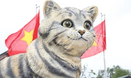 Quảng Trị cân nhắc bán đấu giá linh vật 'mèo hoa hậu' gây quỹ từ thiện