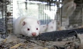 Ảnh minh hoạ: Reuters