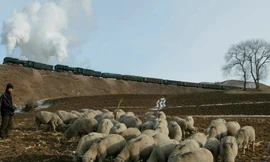 Ảnh minh họa: Getty