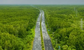 Tuyến đường 6 làn băng rừng già vươn ra biển lớn của TPHCM