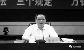 Ông Pan Dongsheng. Ảnh: Global Times