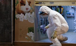 Hồng Kông: Tìm thấy bằng chứng cho thấy chuột hamster lây COVID-19 sang người