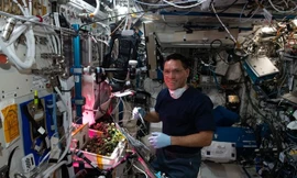 Tìm thấy quả cà chua 'mất tích' suốt 8 tháng trên trạm vũ trụ ISS