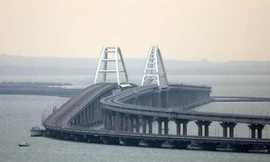 Nghị sĩ Ukraine và Bộ trưởng Quốc phòng Anh thảo luận việc phá hủy cầu Crimea 