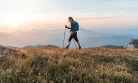 Ảnh minh họa: Fox News