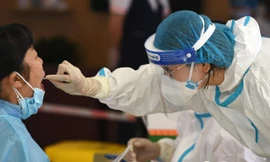 Ảnh minh hoạ: Global Times