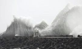 Nhật Bản chuẩn bị đón cơn bão thứ hai trong một tuần, hàng trăm chuyến bay bị hủy