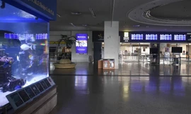 Bão Khanun áp sát Nhật Bản: Hơn 200.000 hộ dân mất điện, gần 1.000 chuyến bay bị huỷ