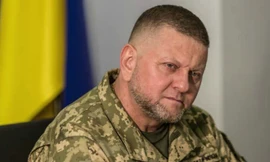 Bộ Quốc phòng Ukraine nói về khả năng sa thải Tổng tư lệnh quân đội