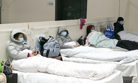 Ảnh minh hoạ: Rex