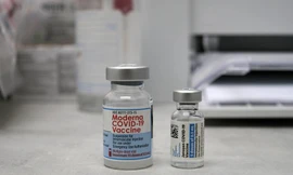 Ảnh: New York Times