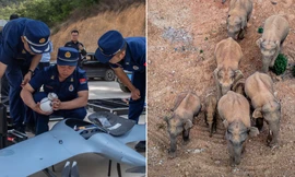 Lực lượng chức năng được triển khai để theo dõi đàn voi. Ảnh: RT